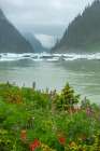 USA-Alaska-Tongass National Forest Shakes Lake icebergs and wildflowers Art Print